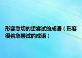 形容急切的想尝试的成语（形容很着急尝试的成语）