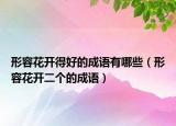 形容花开得好的成语有哪些（形容花开二个的成语）