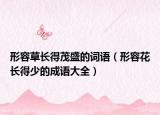 形容草长得茂盛的词语（形容花长得少的成语大全）