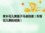 家乡花儿美笛子马迪简谱（形容花儿美的成语）