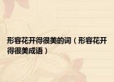 形容花开得很美的词（形容花开得很美成语）