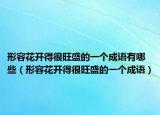 形容花开得很旺盛的一个成语有哪些（形容花开得很旺盛的一个成语）