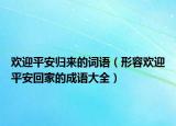 欢迎平安归来的词语（形容欢迎平安回家的成语大全）