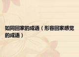 如同回家的成语（形容回家感觉的成语）