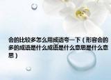 会的比较多怎么用成语夸一下（形容会的多的成语是什么成语是什么意思是什么意思）