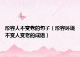 形容人不变老的句子（形容环境不变人变老的成语）