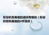 形容机智勇敢的词语有哪些（形容机智和勇敢的4字成语）