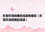 形容环境精美的成语有哪些（形容环境精美的成语）