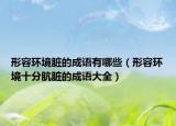 形容环境脏的成语有哪些（形容环境十分肮脏的成语大全）