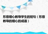 形容细心教导学生的短句（形容教导的细心的成语）