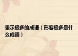 表示极多的成语（形容极多是什么成语）