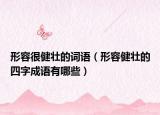 形容很健壮的词语（形容健壮的四字成语有哪些）