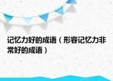 记忆力好的成语（形容记忆力非常好的成语）
