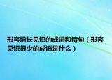 形容增长见识的成语和诗句（形容见识很少的成语是什么）
