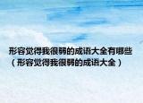 形容觉得我很弱的成语大全有哪些（形容觉得我很弱的成语大全）