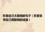 形容自己太聪明的句子（形容觉得自己很聪明的成语）