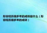 形容经历很多年的成语是什么（形容经历很多年的成语）