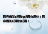 形容借鉴成果的成语有哪些（形容借鉴成果的成语）
