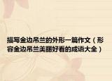 描写金边吊兰的外形一篇作文（形容金边吊兰美丽好看的成语大全）