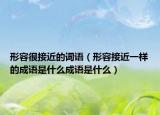 形容很接近的词语（形容接近一样的成语是什么成语是什么）
