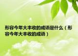 形容今年大丰收的成语是什么（形容今年大丰收的成语）