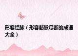 形容经脉（形容筋脉尽断的成语大全）