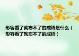 形容看了就忘不了的成语是什么（形容看了就忘不了的成语）