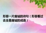 形容一片废墟的诗句（形容看过去全是废墟的成语）