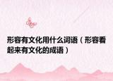 形容有文化用什么词语（形容看起来有文化的成语）