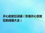 开心的发狂词语（形容开心到发狂的成语大全）