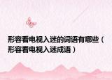 形容看电视入迷的词语有哪些（形容看电视入迷成语）