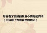 形容看了美好的景色心情好的词语（形容看了好看景物的成语）