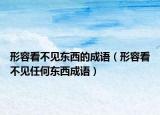 形容看不见东西的成语（形容看不见任何东西成语）