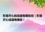 形容开心的成语有哪些些（形容开心成语有哪些）