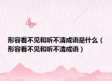 形容看不见和听不清成语是什么（形容看不见和听不清成语）
