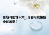 形容可能性不大（形容可能性极小的成语）