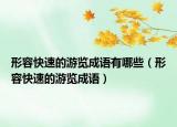 形容快速的游览成语有哪些（形容快速的游览成语）
