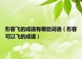 形容飞的成语有哪些词语（形容可以飞的成语）
