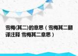 雪梅(其二)的意思（雪梅其二翻译注释 雪梅其二意思）