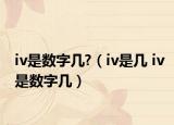 iv是数字几?（iv是几 iv是数字几）