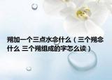 朔加一个三点水念什么（三个朔念什么 三个朔组成的字怎么读）