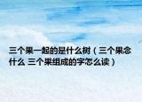 三个果一起的是什么树（三个果念什么 三个果组成的字怎么读）