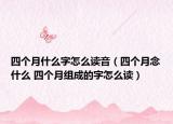 四个月什么字怎么读音（四个月念什么 四个月组成的字怎么读）