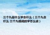 三个九是什么字念什么（三个九念什么 三个九组成的字怎么读）