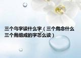 三个鸟字读什么字（三个鳥念什么 三个鳥组成的字怎么读）