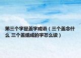 第三个字是盖字成语（三个盖念什么 三个盖组成的字怎么读）