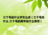 三个毛是什么字怎么读（三个毛念什么 三个毛的毳字是什么意思）