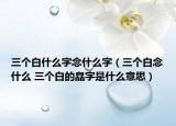 三个白什么字念什么字（三个白念什么 三个白的皛字是什么意思）