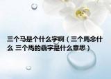 三个马是个什么字啊（三个馬念什么 三个馬的驫字是什么意思）