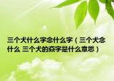 三个犬什么字念什么字（三个犬念什么 三个犬的猋字是什么意思）